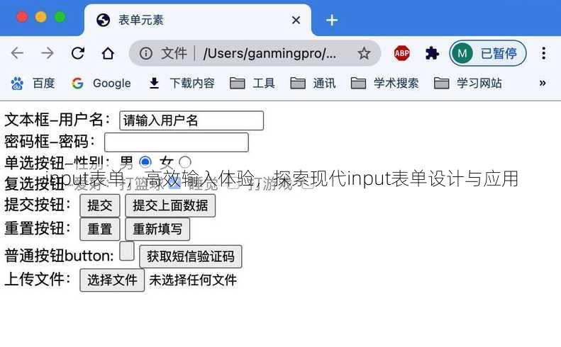 input表单