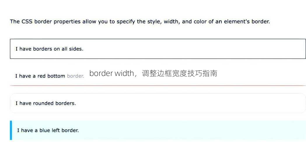 border width