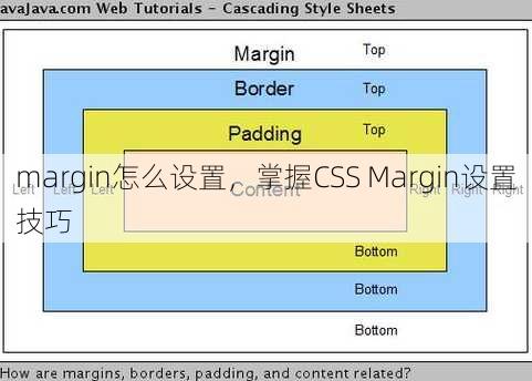 margin怎么设置