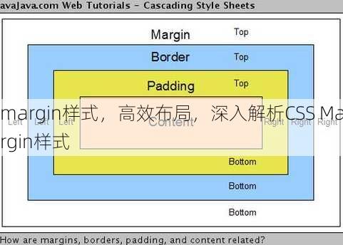 margin样式