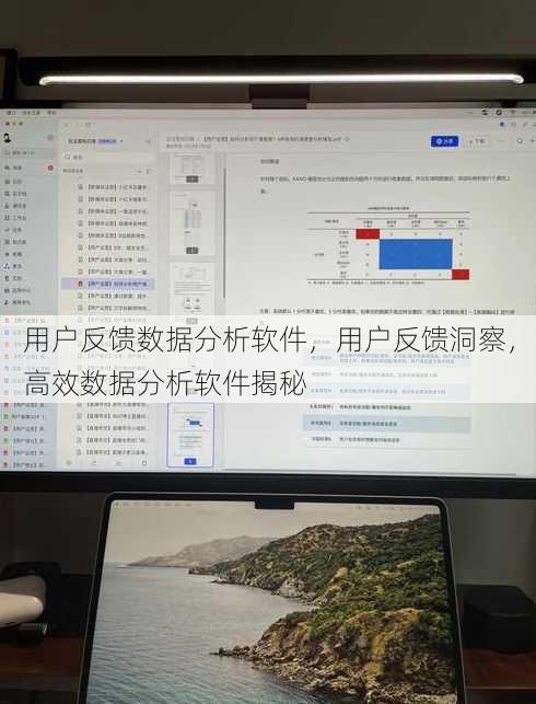 用户反馈数据分析软件