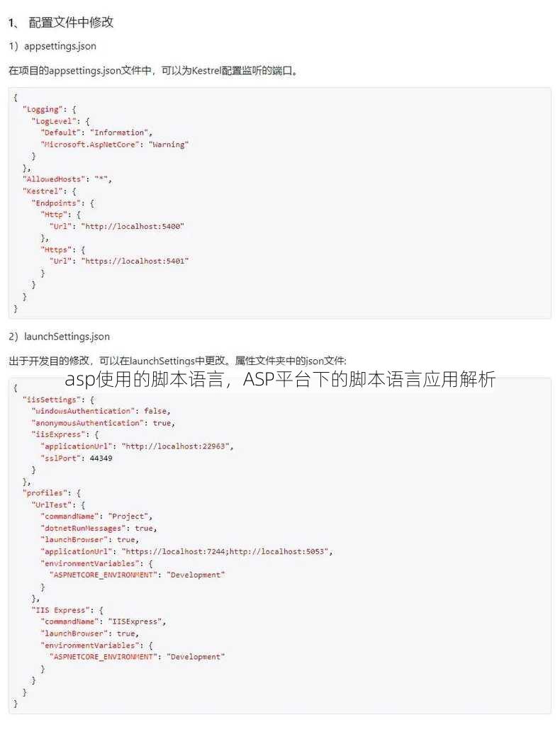 asp使用的脚本语言