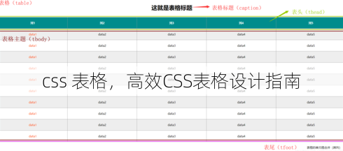 css 表格