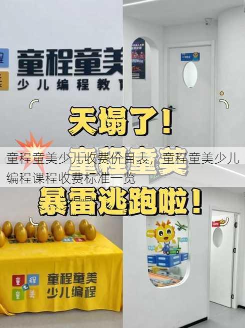 童程童美少儿收费价目表