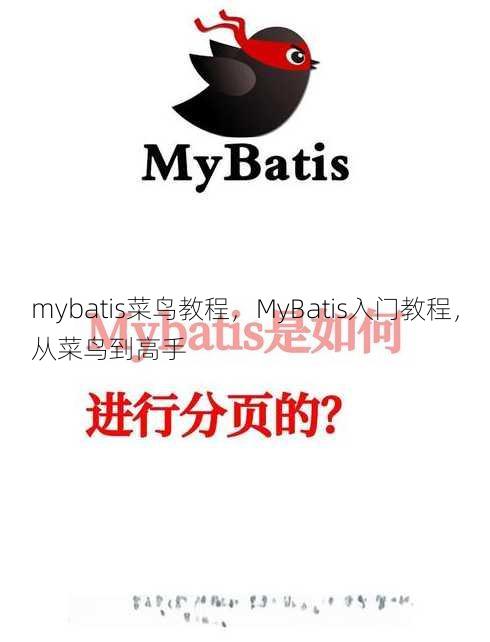 mybatis菜鸟教程