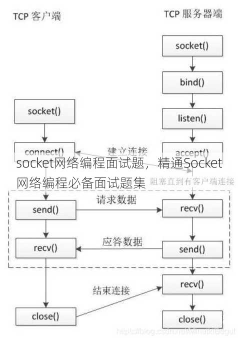 socket网络编程面试题