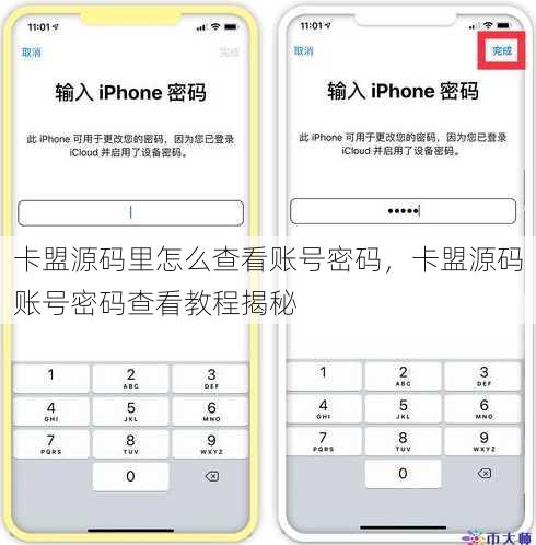 卡盟源码里怎么查看账号密码