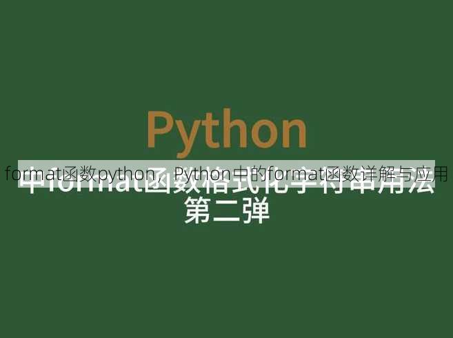 format函数python