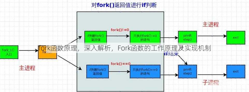 fork函数原理