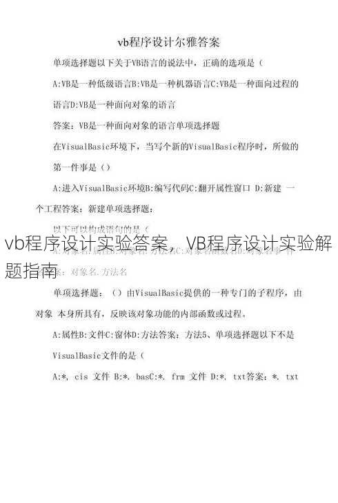 vb程序设计实验答案