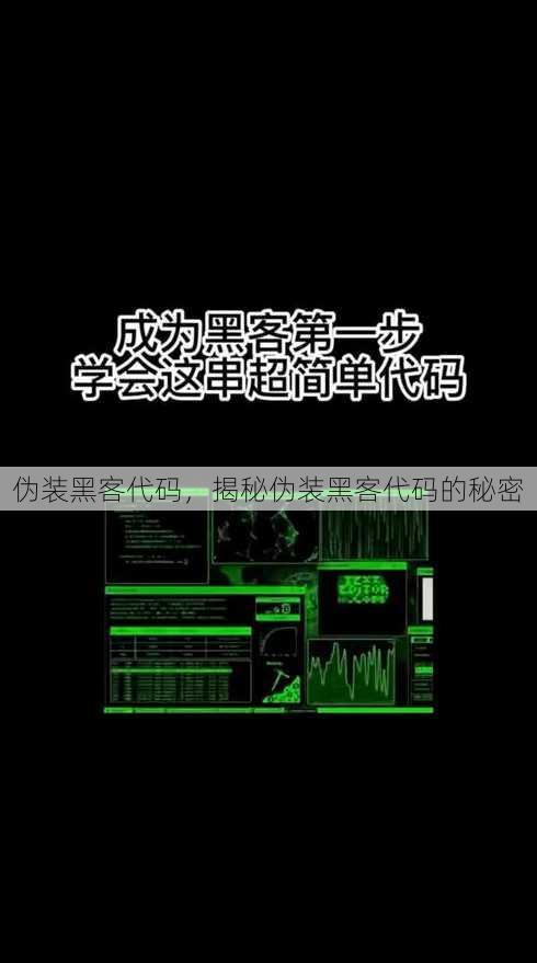 伪装黑客代码