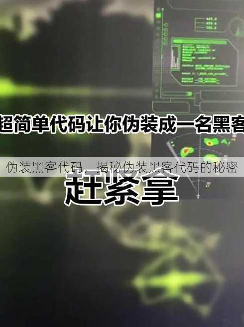 伪装黑客代码