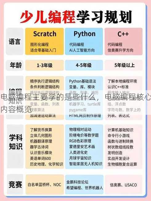 电脑编程主要学的是些什么