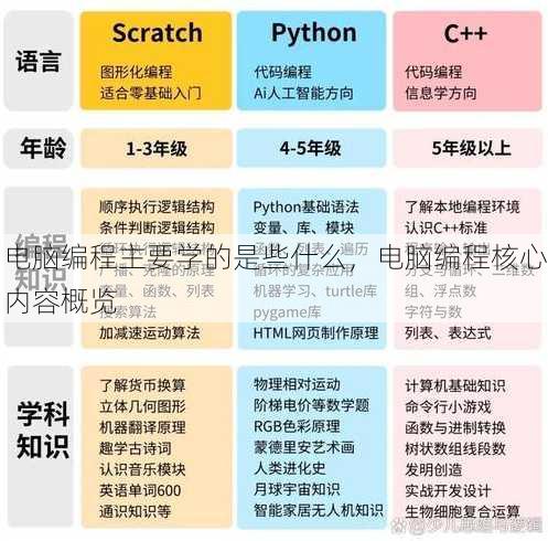 电脑编程主要学的是些什么
