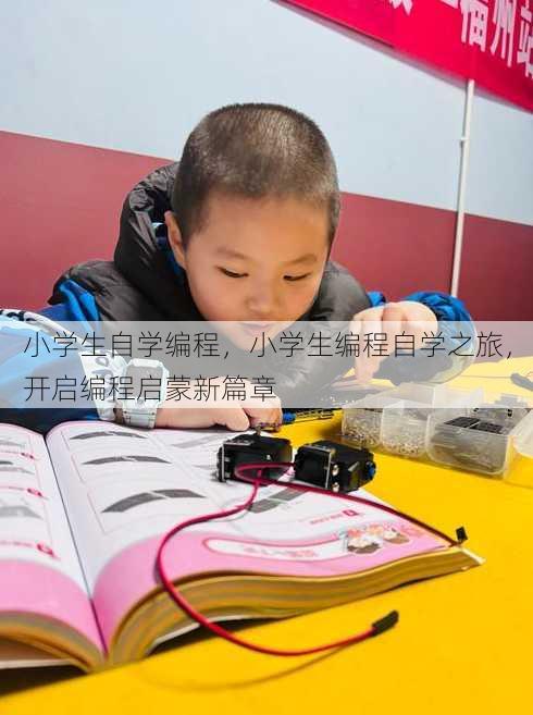 小学生自学编程