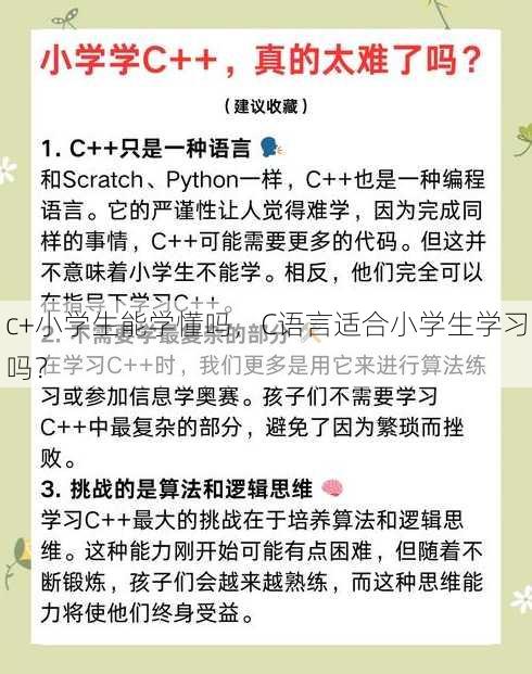 c+小学生能学懂吗