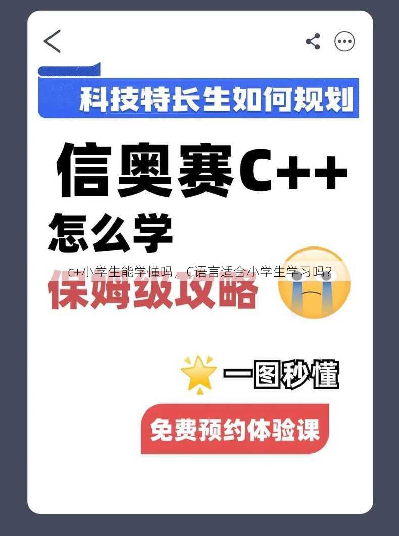 c+小学生能学懂吗