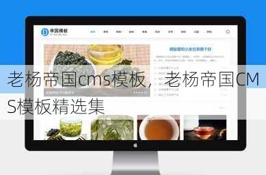 老杨帝国cms模板