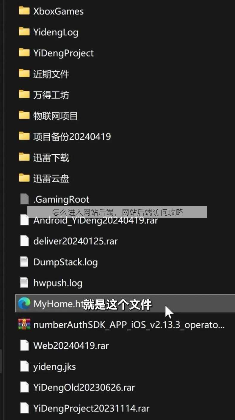怎么进入网站后端