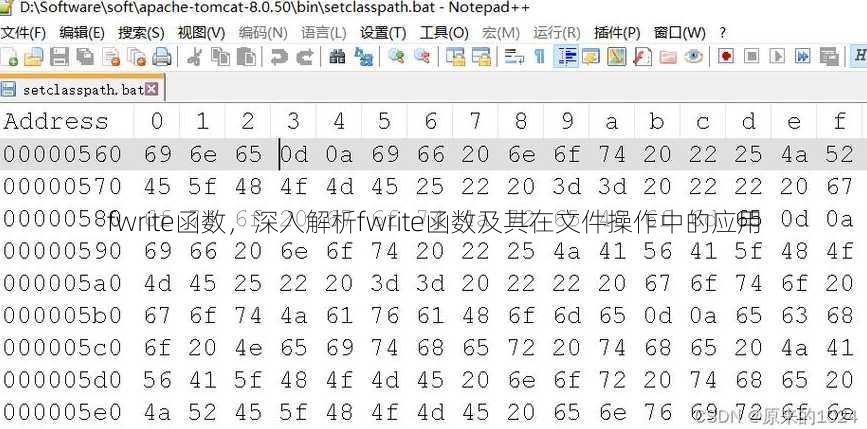 fwrite函数