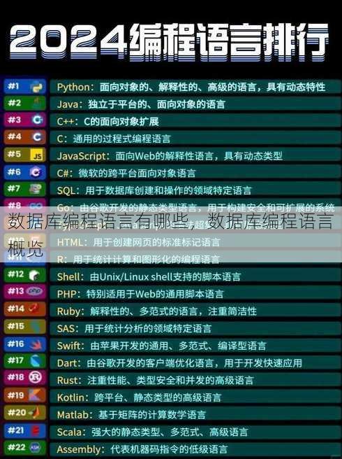 数据库编程语言有哪些