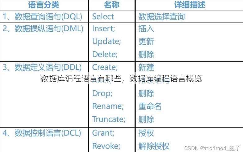 数据库编程语言有哪些