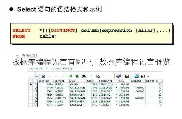数据库编程语言有哪些