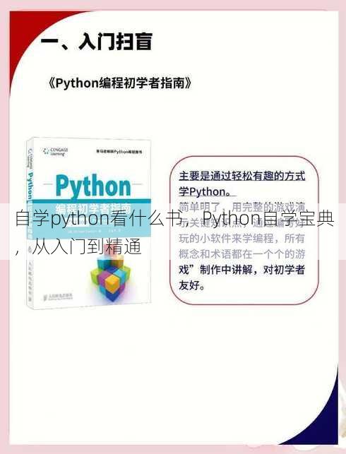 自学python看什么书