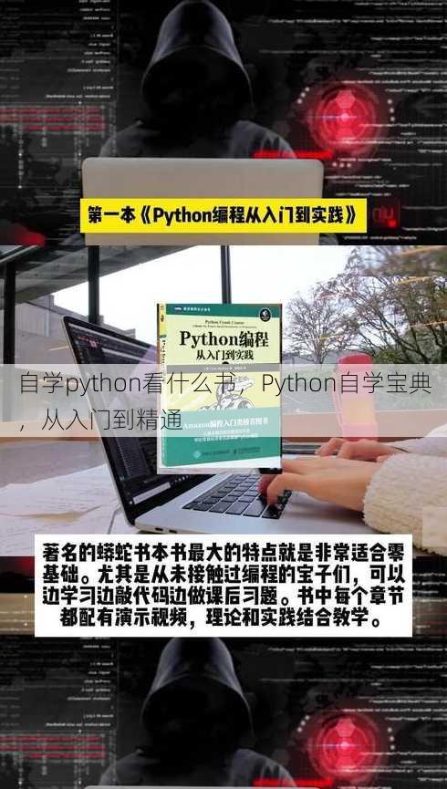 自学python看什么书