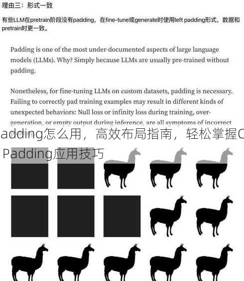 padding怎么用