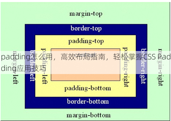 padding怎么用