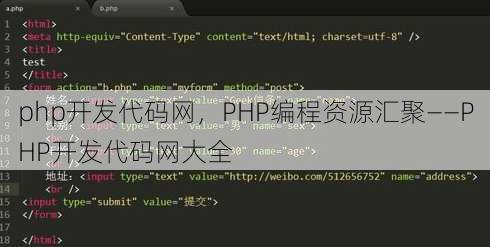 php开发代码网
