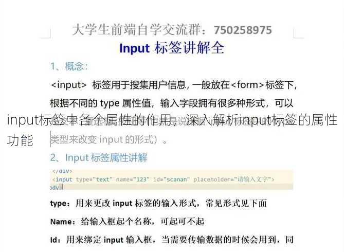 input标签中各个属性的作用