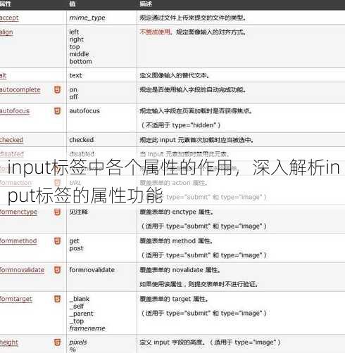 input标签中各个属性的作用
