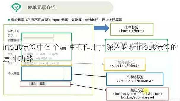 input标签中各个属性的作用