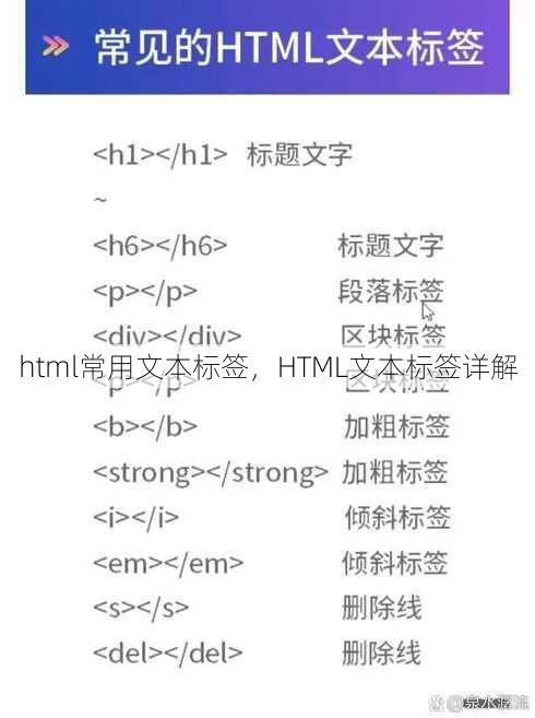 html常用文本标签