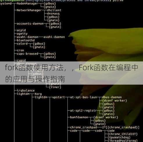 fork函数使用方法