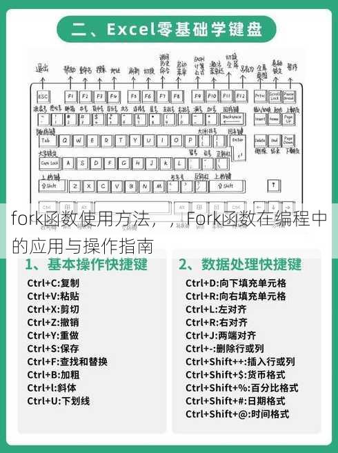 fork函数使用方法