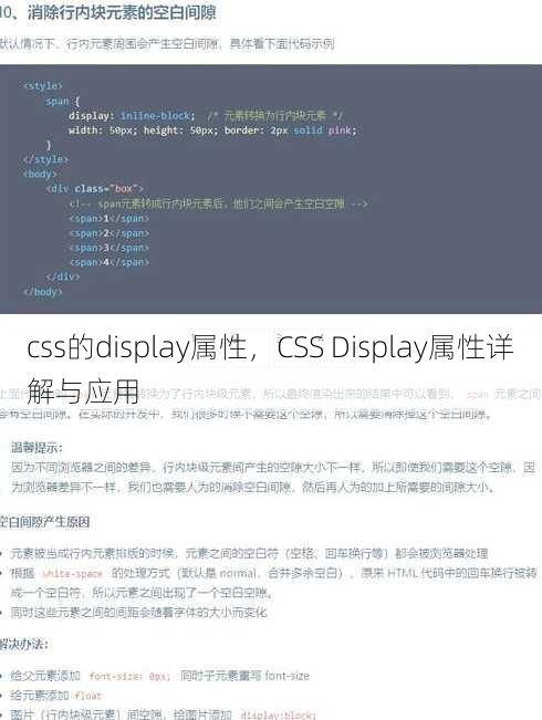 css的display属性