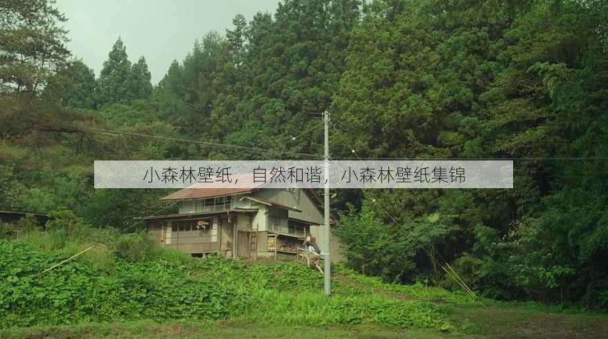小森林壁纸