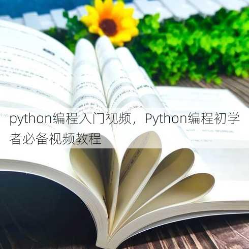 python编程入门视频