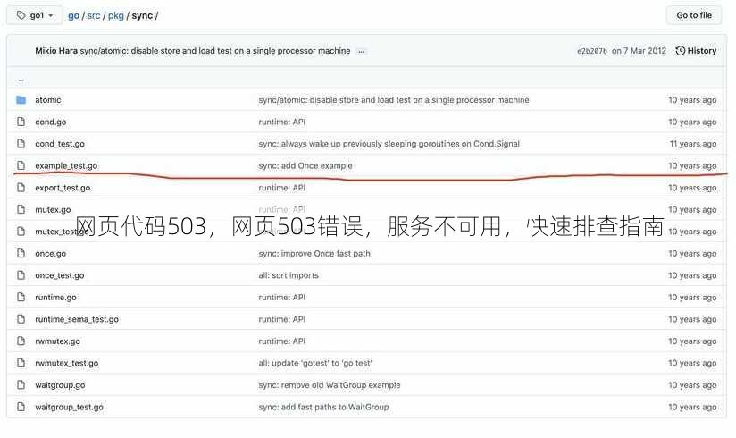 网页代码503