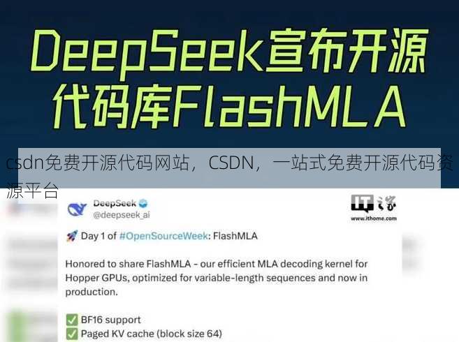 csdn免费开源代码网站