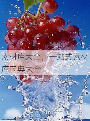 素材库大全