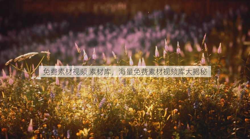 免费素材视频 素材库