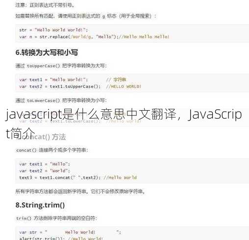 javascript是什么意思中文翻译