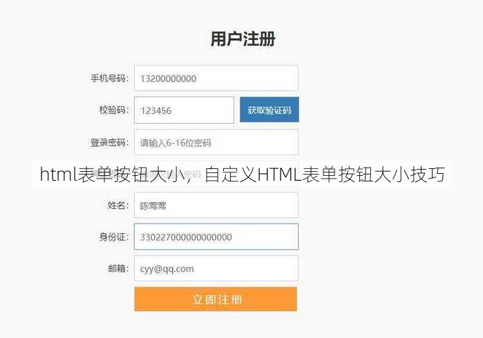 html表单按钮大小