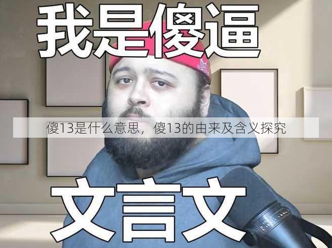 傻13是什么意思