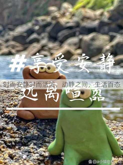 时而安静时而活泼