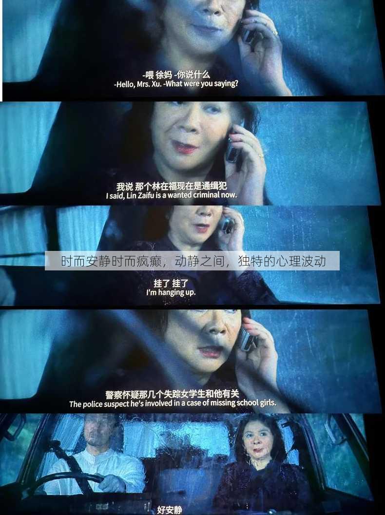 时而安静时而疯癫